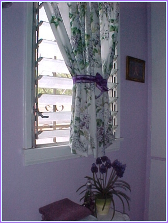Bathroom window