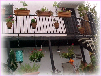 Outside View